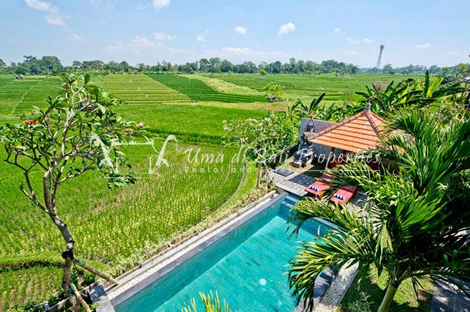 Pererenan Villas For Yearly Rent Lv 020 4 Uma Di Bali Properties
